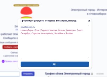 Сбой в работе «Электронного города» вновь фиксируют новосибирцы