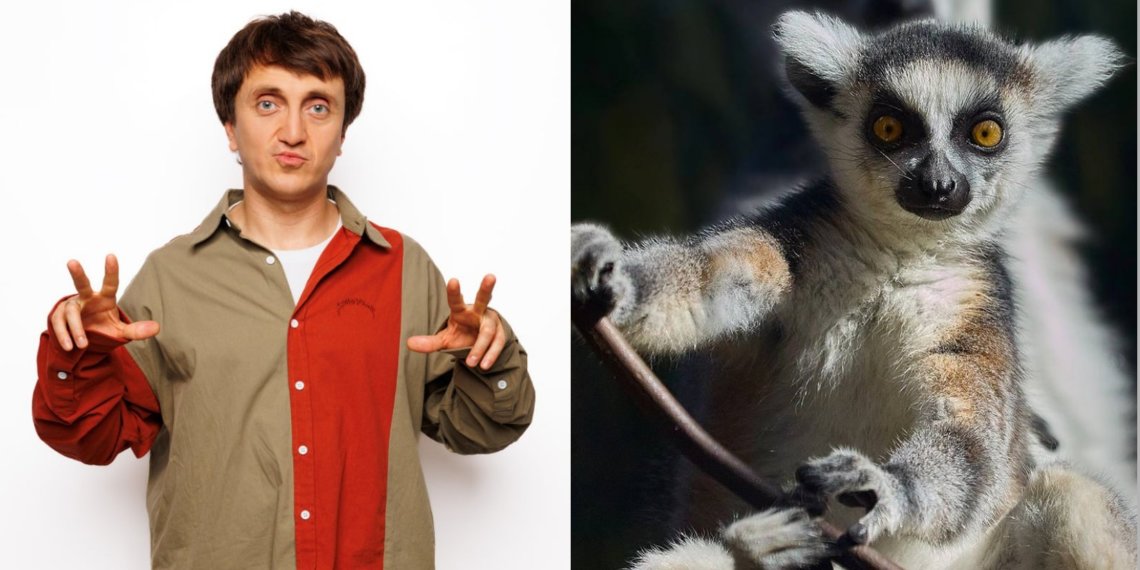 Юморист Денис Дорохов взял под опеку новосибирских лемуров