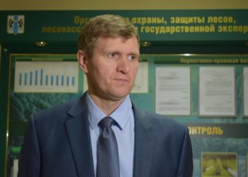 Ушедший после проверки новосибирский чиновник стал лесным инспектором Забайкалья
