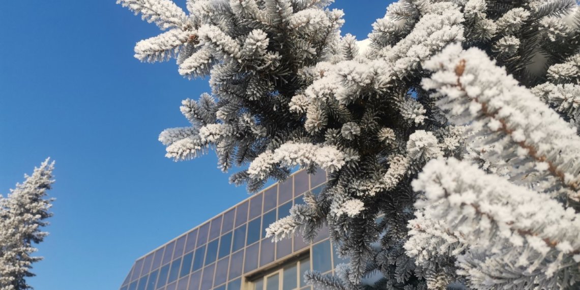 Мороз до -20 придёт в Новосибирскую область во второй декаде ноября