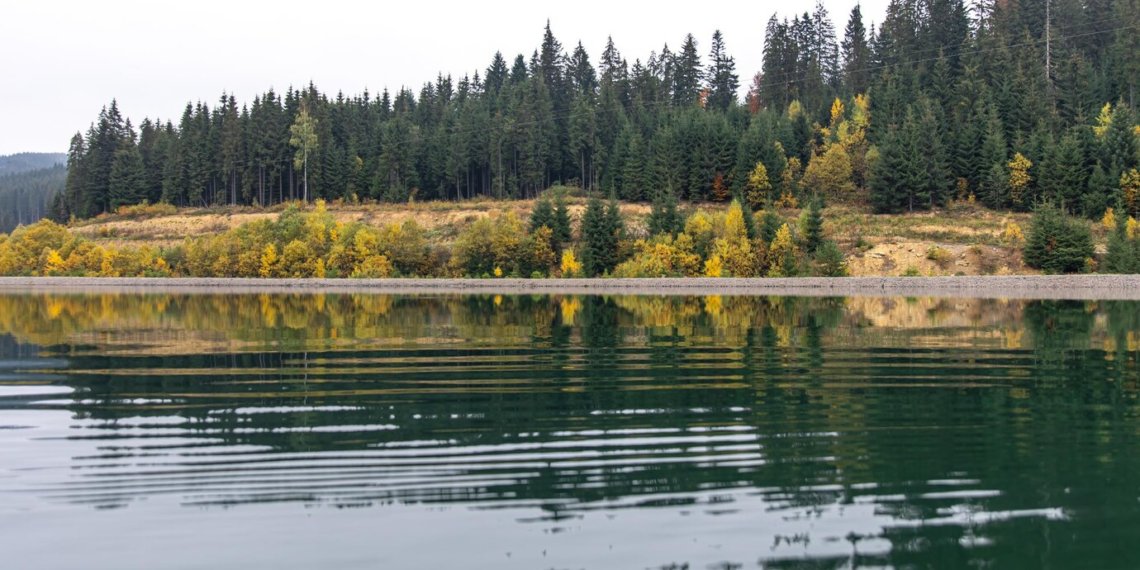 В Новосибирской области планируют развивать туризм по берегам озера Чаны