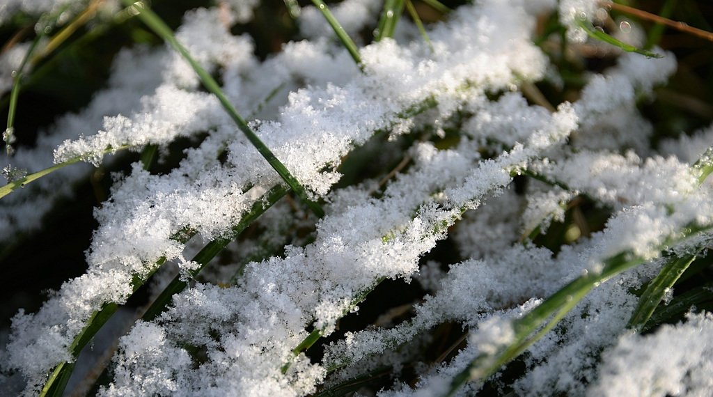 Какая погода ждет Новосибирск на осенних выходных?