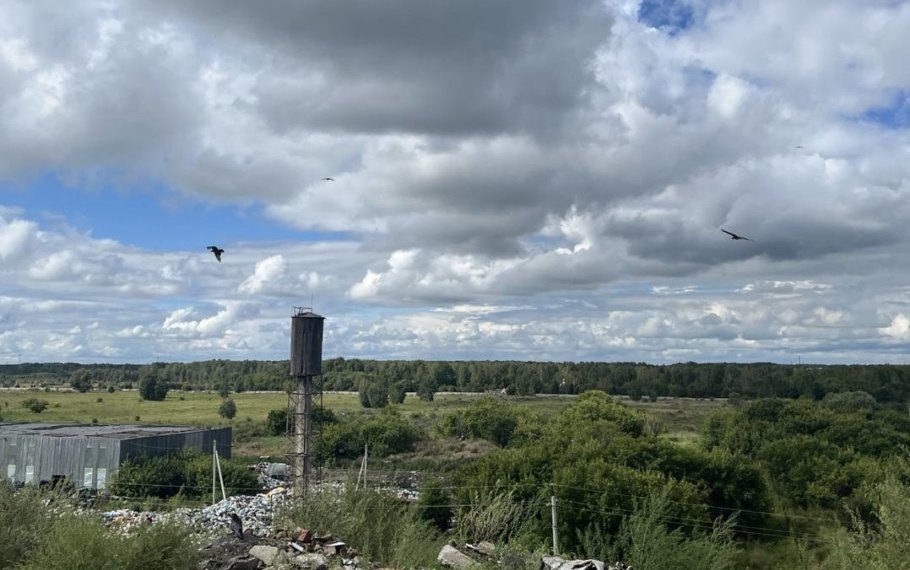 В Новосибирске начальник мусорного полигона «Левобережный» пойдет под суд за загрязнение воздуха после пожара