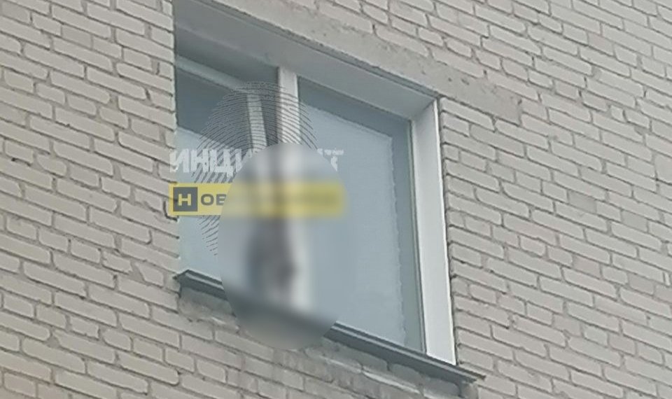 Вероятно, мертва: в Новосибирске кошка висит в окне три дня