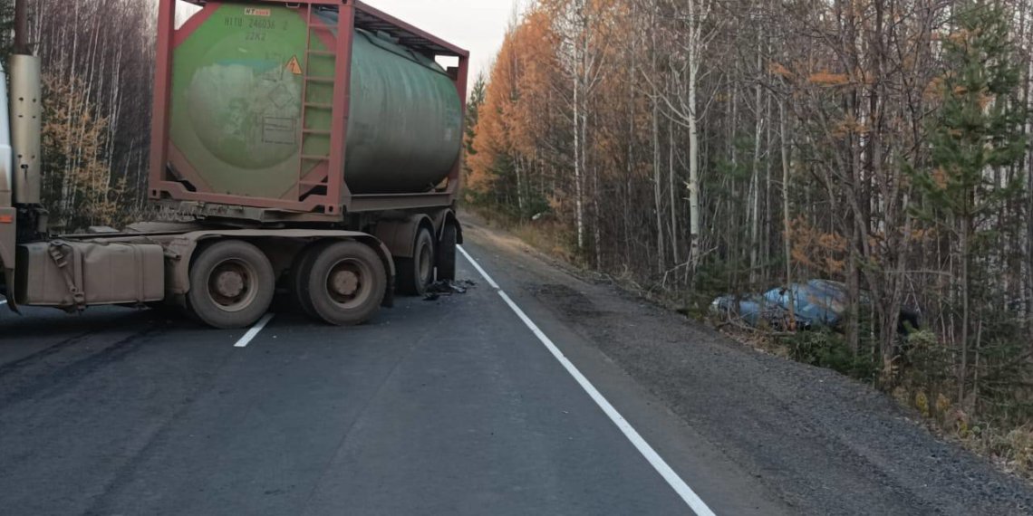 В Иркутской области лежащий на дороге медведь стал причиной массовой аварии