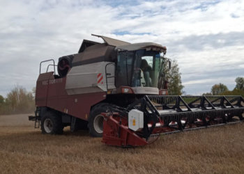 Основу продовольственной безопасности рассмотрят на VII Агрофоруме Новосибирской области