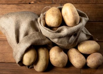 Студентка новосибирского университета выиграла 200 тысяч рублей за ролик про картошку