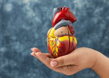 Масштабный флешмоб «Запусти сердце» пройдет в Новосибирске