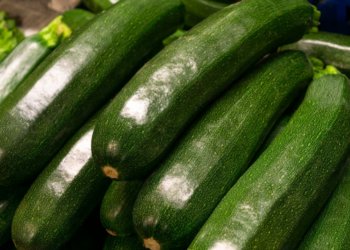 Сдать надоевшие кабачки можно будет 6 октября в Новосибирске