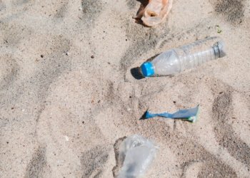 Причиной загрязнения пляжей Новосибирска могут быть очистные сооружения