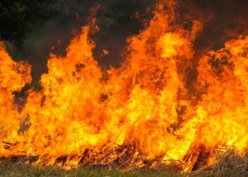 Сибирские ученые создали устройство, которое предсказывает лесные пожары