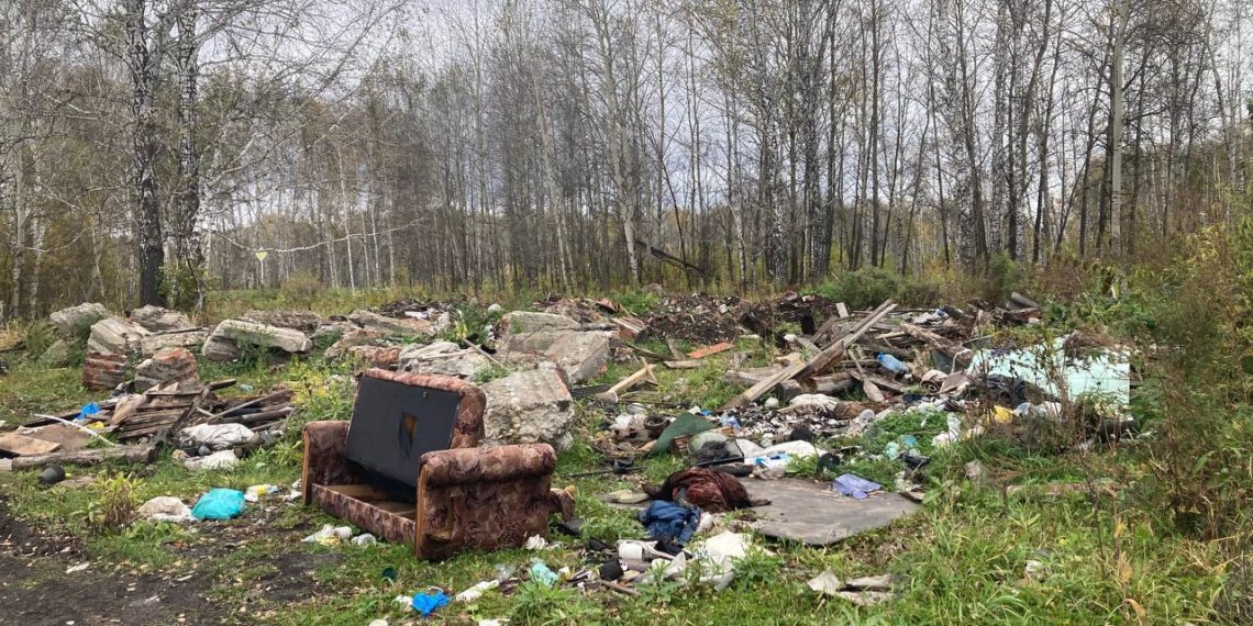 Еще одну нелегальную свалку ликвидировали под Новосибирском