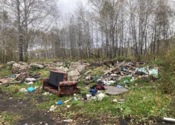 Еще одну нелегальную свалку ликвидировали под Новосибирском