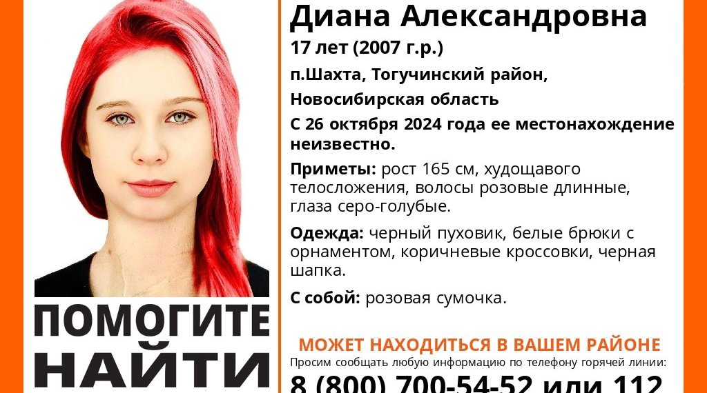 В поселке под Новосибирском пропала 17-летняя девушка с розовыми волосами
