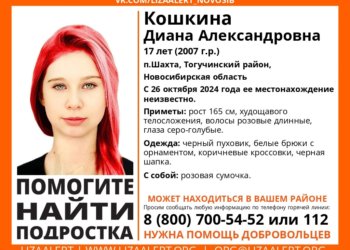 В поселке под Новосибирском пропала 17-летняя девушка с розовыми волосами