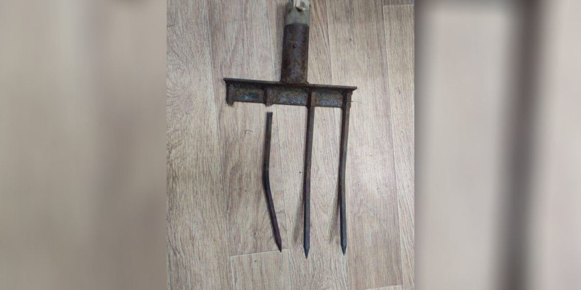 Вилами и лопатой: новосибирец попытался убить знакомого садовым инвентарем