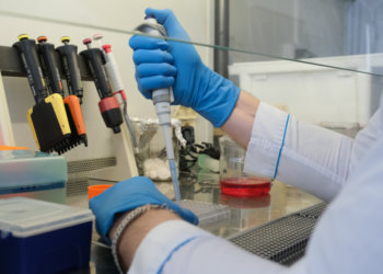 Новосибирская область попала в топ-15 регионов-лидеров по научно-техническому развитию