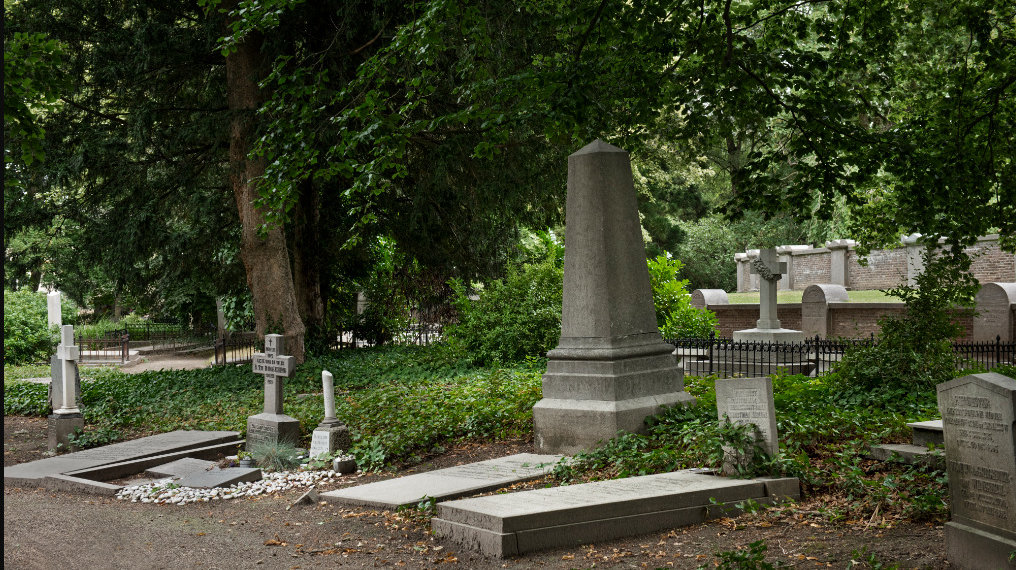 Благоустройство кладбищ в Новосибирской области: новый проект на 2025 год