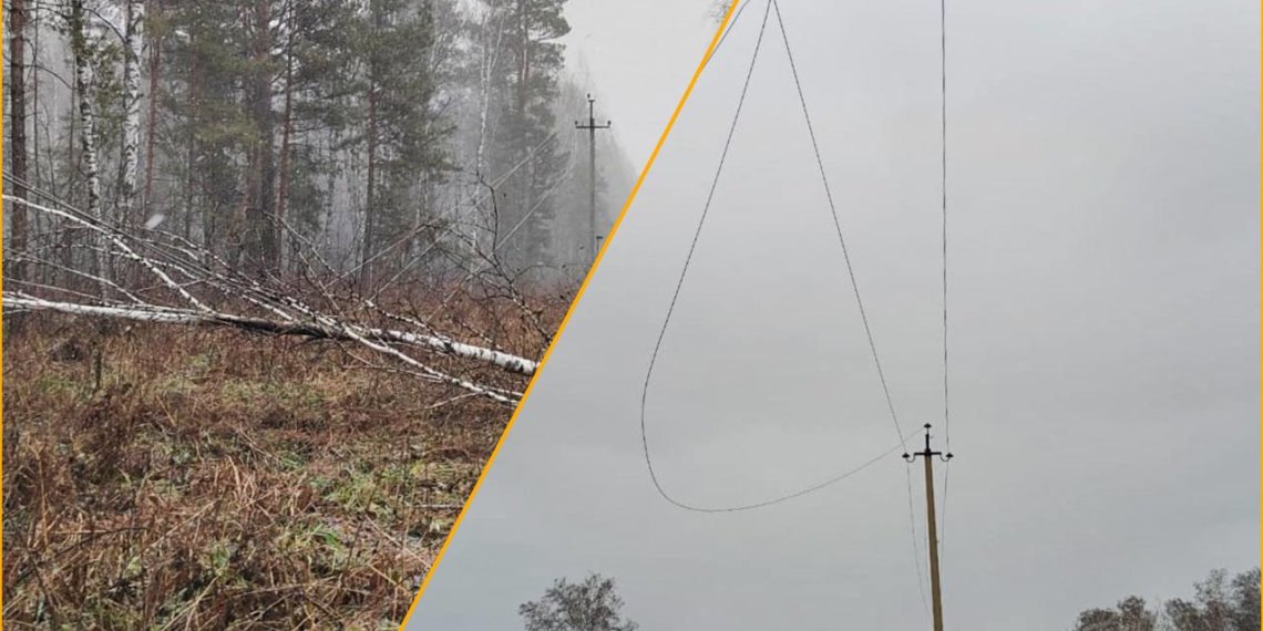 Из-за шквалистого ветра 11 районов Новосибирской области остались без света