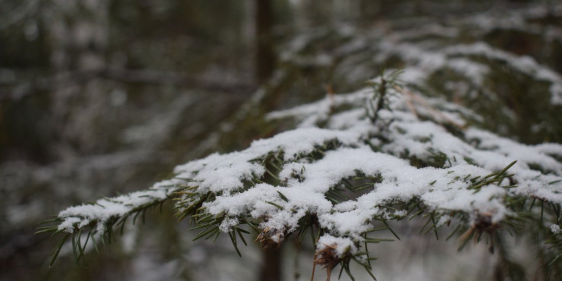 Грядут морозы: какая погода будет на выходных в Новосибирской области