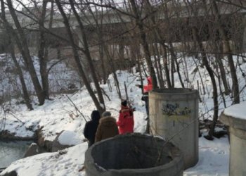 Реку Тула в Новосибирске планируют спасти от отходов с помощью тампонирования