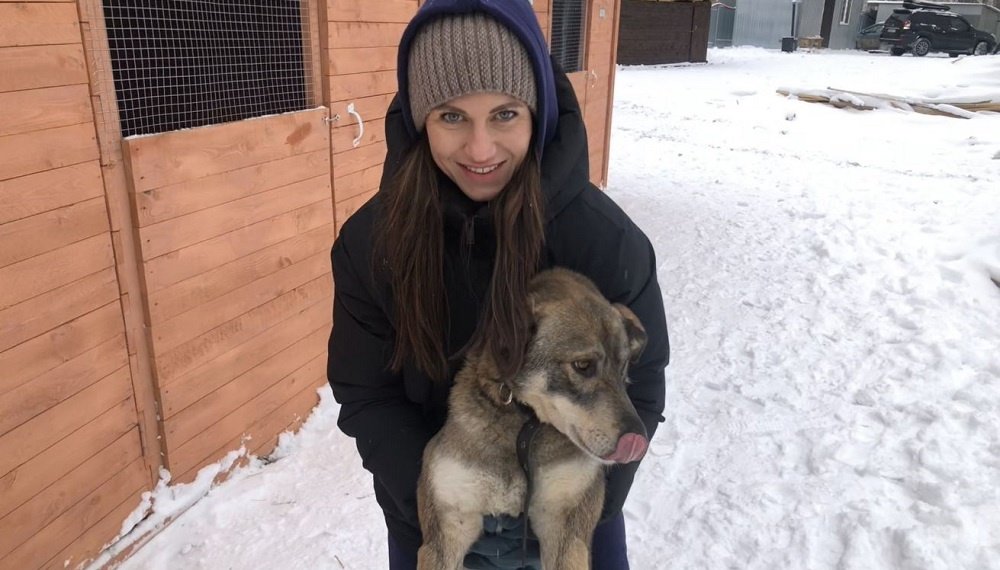 В Пашино открылось учреждение для содержания бездомных собак и кошек