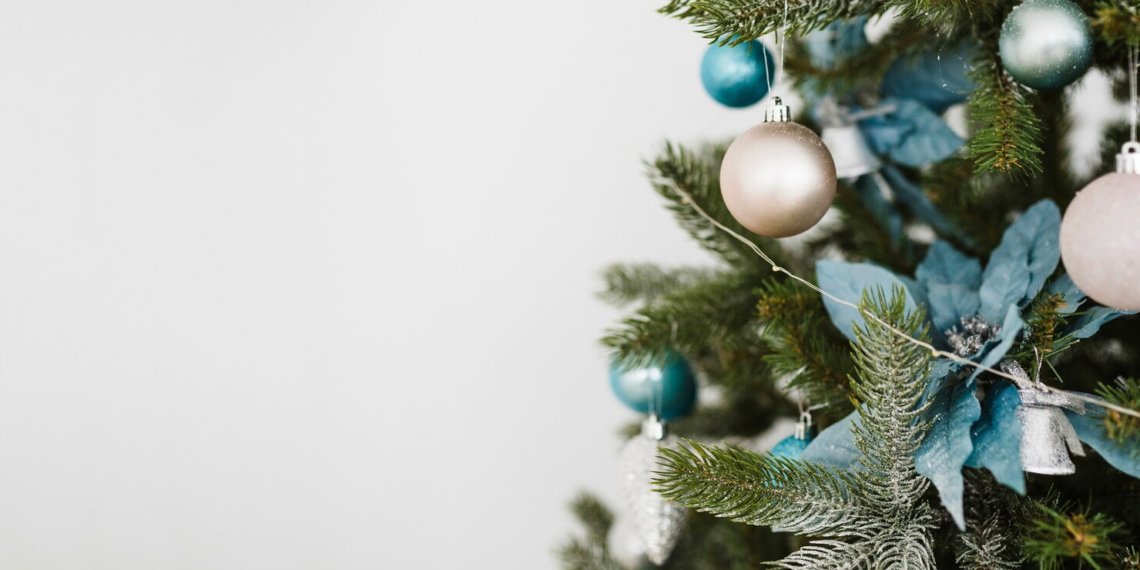 Живые елки на новый год подорожают на 10-20%