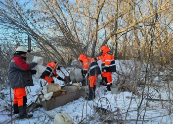 В Новосибирске перекрыли две трубы, через которые сливали отходы в реку Тула