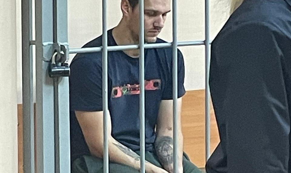 Суд арестовал новосибирца, зарезавшего бабушку своей жены