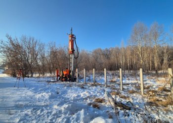 Бугринский лес в Новосибирске начнут патрулировать от закладчиков