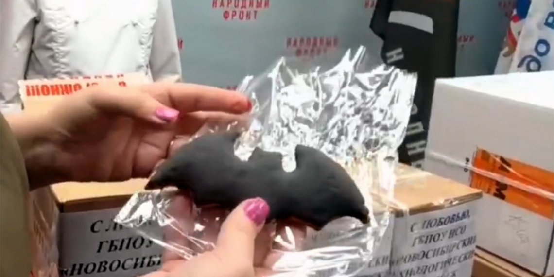 Более 300 сладких летучих мышей подарили бойцам СВО жители Новосибирска