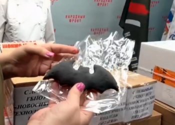 Более 300 сладких летучих мышей подарили бойцам СВО жители Новосибирска