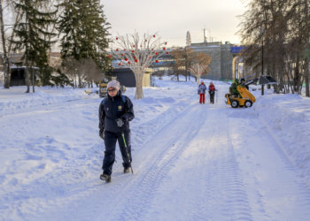 Технологические карты по содержанию и уборке парков зимой разработали в Новосибирске