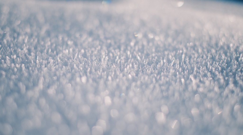 Какая погода ожидает Новосибирскую область до конца рабочей недели?