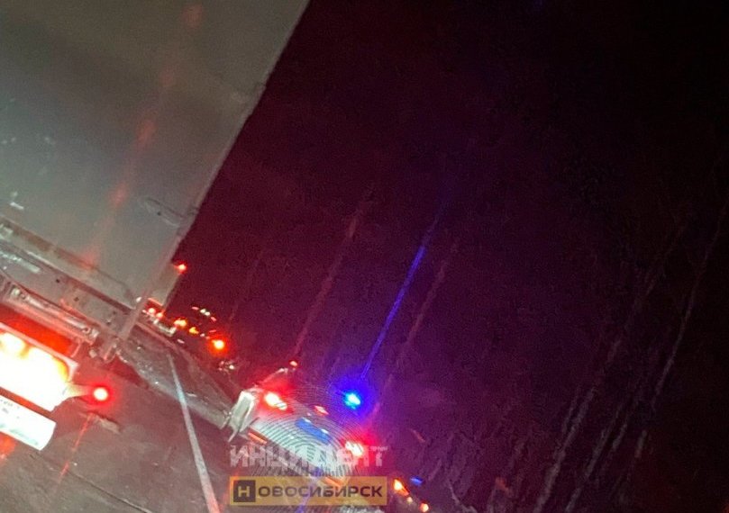 В Новосибирской области погиб лось в массовом ДТП