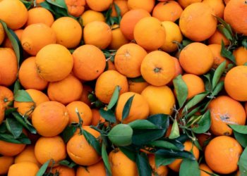 Аромат праздника: поставки мандаринов выросли в 6 раз в Новосибирской области