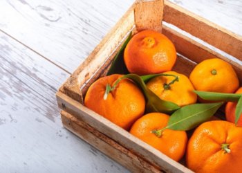 Символ удачи и процветания: история мандаринов как новогоднего угощения