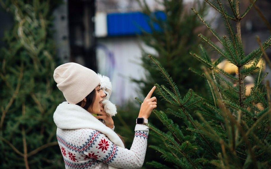 Елочные базары откроются в Новосибирске 1 декабря