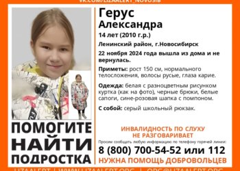 В Ленинском районе Новосибирска пропала 14-летняя девочка инвалид