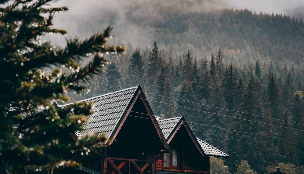 Компания из Новосибирска расширяет номерной фонд турбазы на Алтае с помощью ЦФА