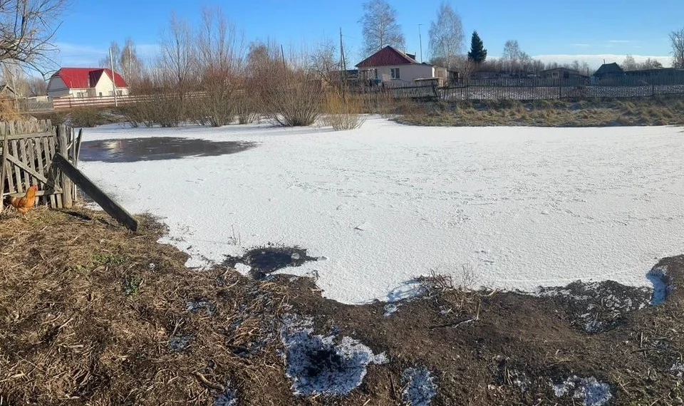 На Алтае двухлетняя девочка упала в лужу и захлебнулась