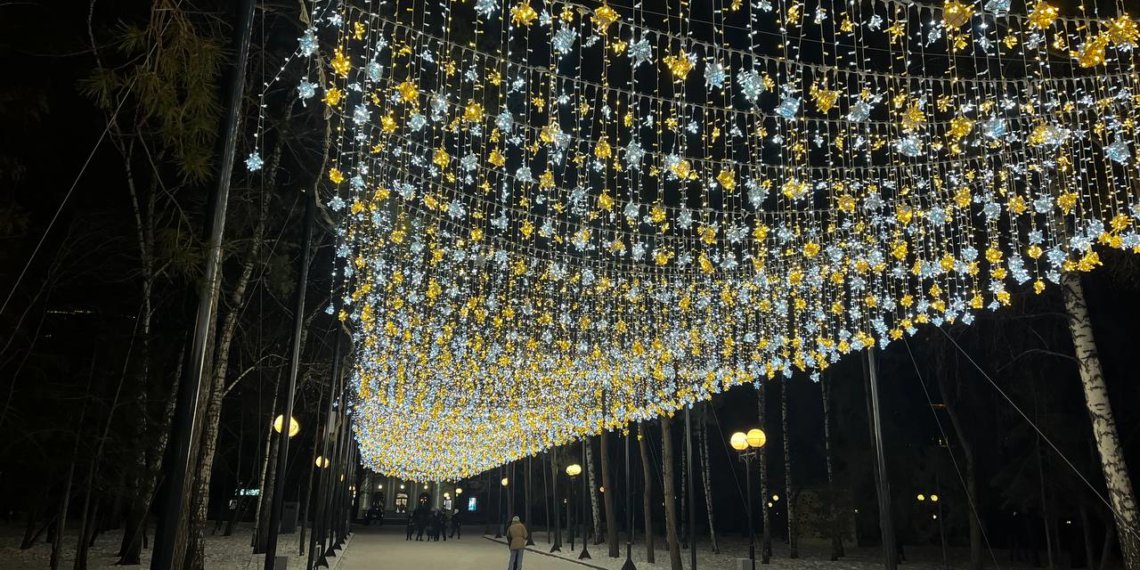 В Новосибирске потратили более полумиллиона на новогоднее освещение