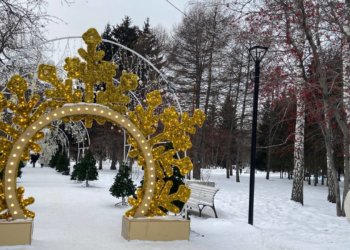 В новосибирских парках деревья обработают едким веществом от вандалов