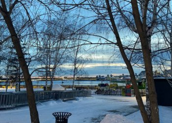 Топ-10 декабрьских новостей Новосибирска и региона за неделю