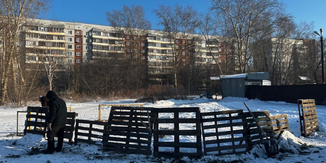 В Советском районе на нелегальном базаре изъяли 76 новогодних елей