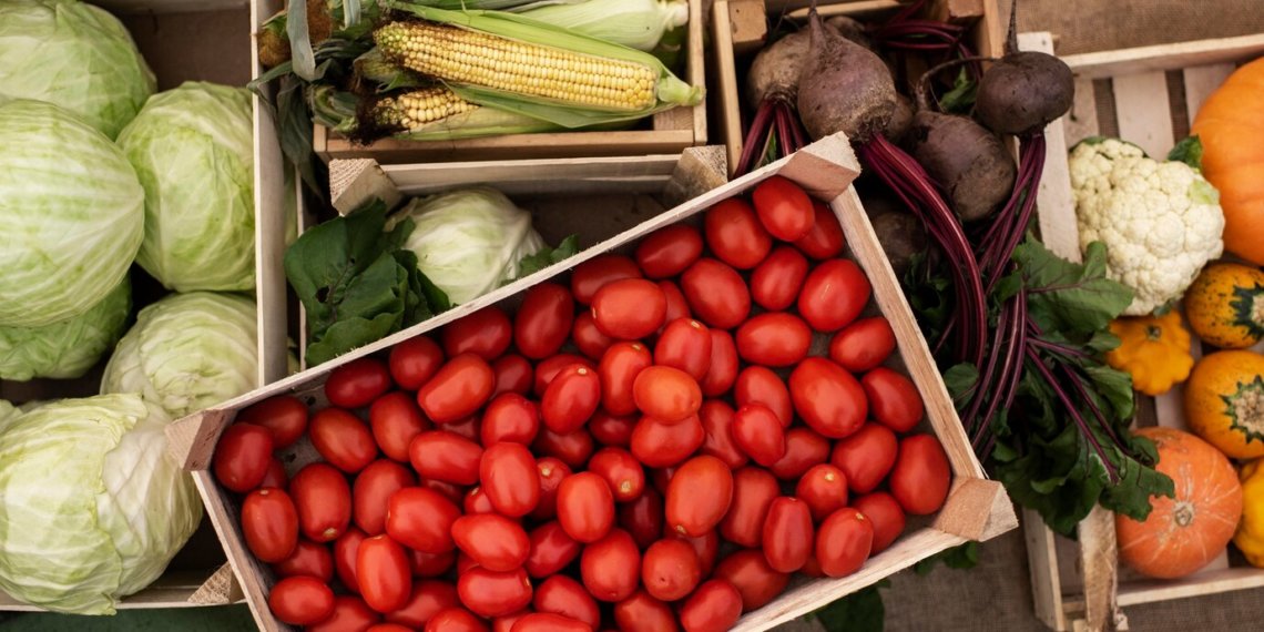 ВТБ: в течение пяти лет экспорт сельскохозяйственной продукции превысит 50 млрд долларов