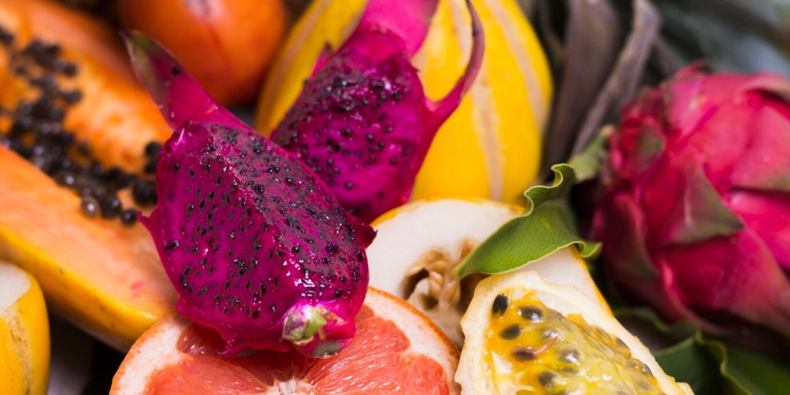 Новосибирск встретит Новый год с 9,5 тоннами экзотики