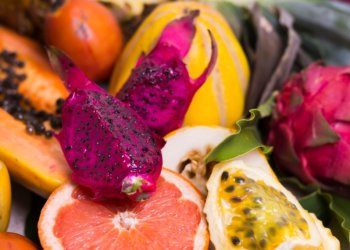 Новосибирск встретит Новый год с 9,5 тоннами экзотики