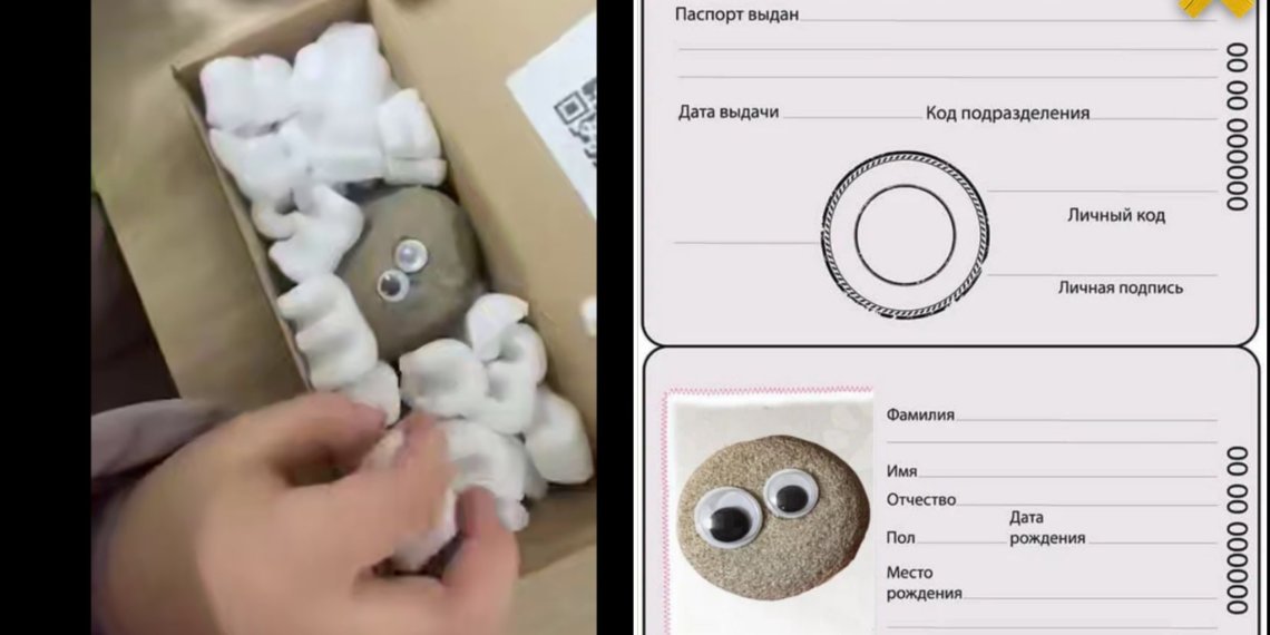 Дети скупают камни с глазами на маркетплейсах