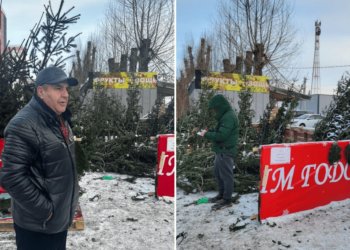 Нелегальный елочный базар закрыли в Первомайском районе Новосибирска